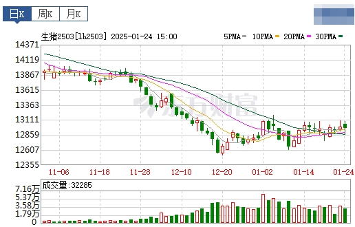 今日猪价 | 2025.01.25 猪价行情——一路飘红,且大幅度上涨