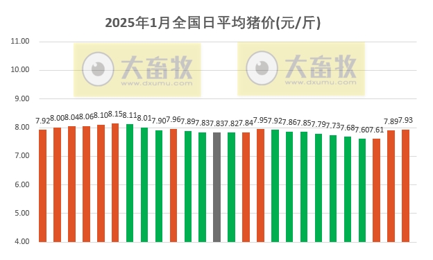 今日猪价 | 2025.01.26 猪价行情——部分省份继续上涨