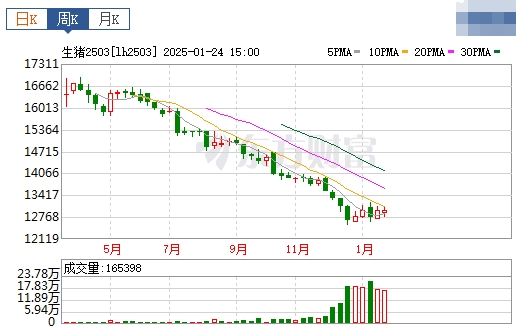 今日猪价 | 2025.01.26 猪价行情——部分省份继续上涨