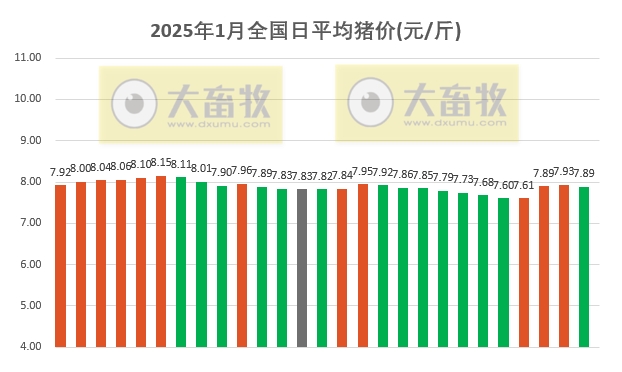 今日猪价 | 2025.01.27 猪价行情