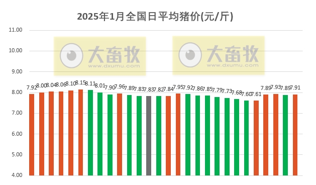 今日猪价 | 2025.01.28 猪价行情