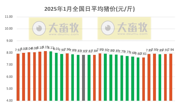 今日猪价 | 2025.01.29 猪价行情