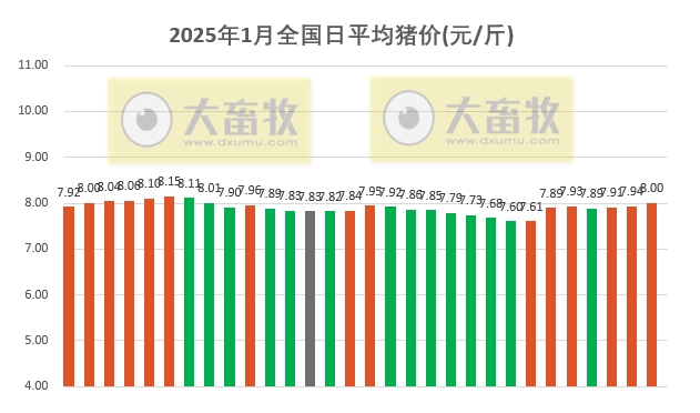 今日猪价 | 2025.01.30 猪价行情