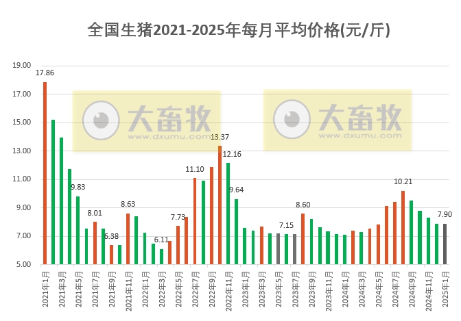今日猪价 | 2025.01.31 猪价行情