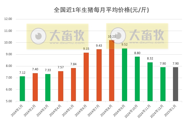 今日猪价 | 2025.01.31 猪价行情