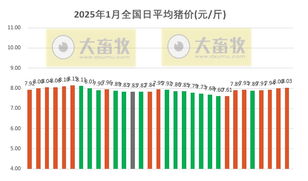 今日猪价 | 2025.01.31 猪价行情