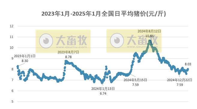 今日猪价 | 2025.01.31 猪价行情