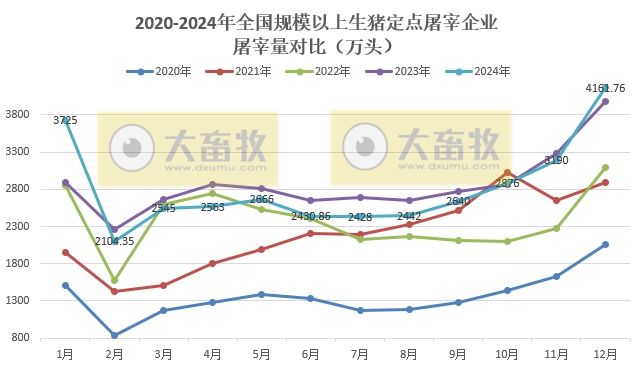 2024年12月及年度全国规模以上生猪定点屠宰企业的屠宰量情况——单月创历史新高,且首次突破4000万头