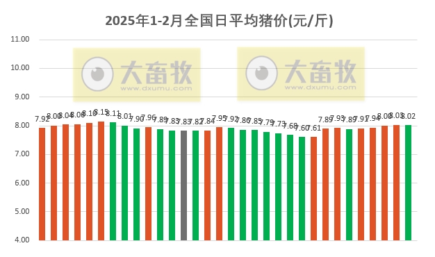 今日猪价 | 2025.02.01 猪价行情