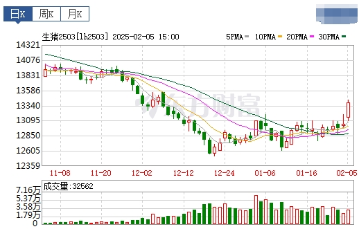 今日猪价 | 2025.02.06 猪价行情