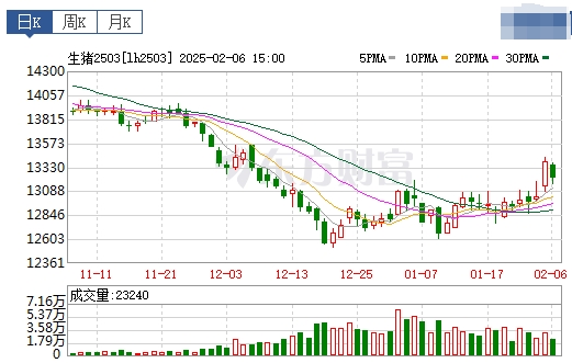 今日猪价 | 2025.02.07 猪价行情——大面积下跌