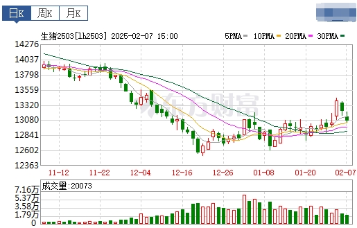 今日猪价 | 2025.02.08 猪价行情——断崖式下跌