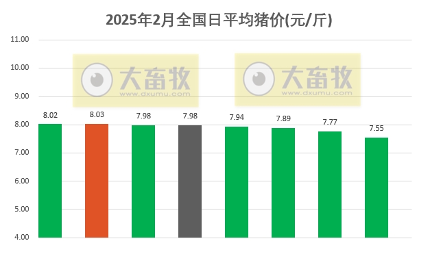 今日猪价 | 2025.02.08 猪价行情——断崖式下跌