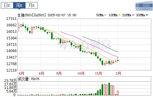 今日猪价 | 2025.02.09 猪价行情——继续大幅下跌,且跌至近11个月最低价
