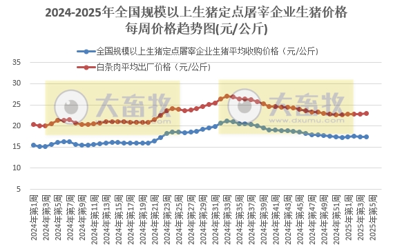农业农村部：生猪收购价和白条肉出厂价出现涨跌分化，同比继续上涨，涨幅收窄——1月第4周生猪定点屠宰企业生猪收购和白条肉出厂价格情况