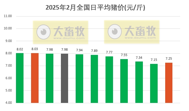 今日猪价 | 2025.02.11猪价行情——大多数止跌反弹啦