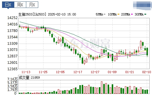今日猪价 | 2025.02.11猪价行情——大多数止跌反弹啦