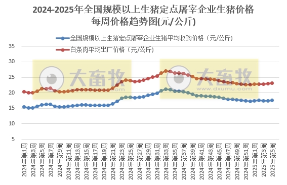农业农村部：生猪收购价和白条肉出厂价环比上涨，同比涨幅收窄——1月第5周生猪定点屠宰企业生猪收购和白条肉出厂价格情况