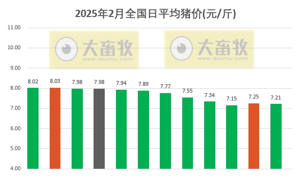 今日猪价 | 2025.02.12猪价行情