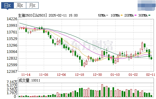 今日猪价 | 2025.02.12猪价行情
