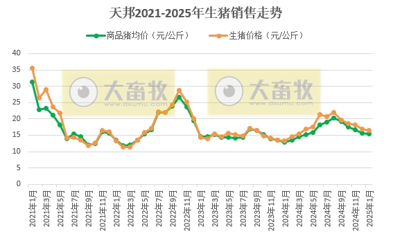 新希望、大北农和天邦2025年1月生猪销售情况