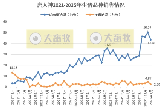 正邦、唐人神和中粮2025年1月生猪销售情况