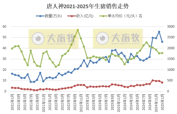 正邦、唐人神和中粮2025年1月生猪销售情况