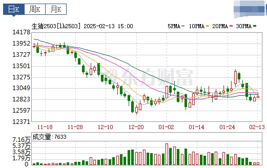 今日猪价 | 2025.02.14猪价行情——绝大多数省份出现上涨