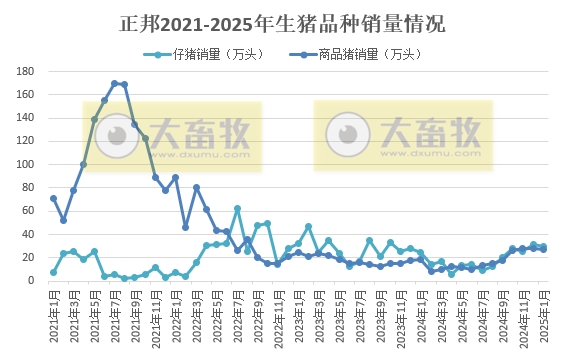 正邦、唐人神和中粮2025年1月生猪销售情况