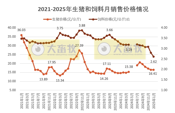 2025年1月全国猪粮比及生猪收益情况