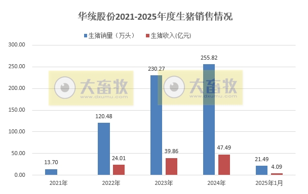 德康、天康和华统2025年1月生猪销售情况