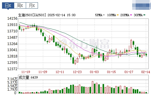 今日猪价 | 2025.02.15猪价行情