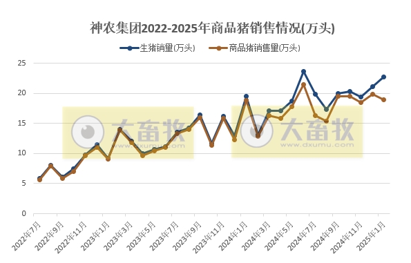 神农、立华和傲农2025年1月生猪生产销售情况