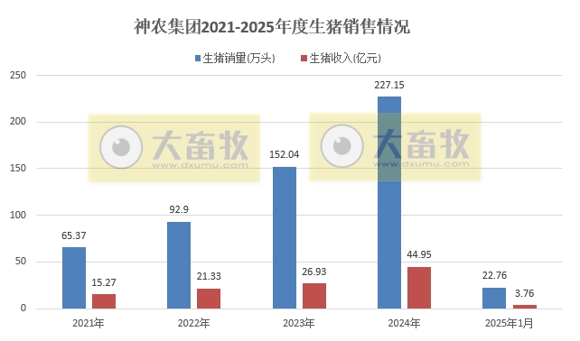 神农、立华和傲农2025年1月生猪生产销售情况