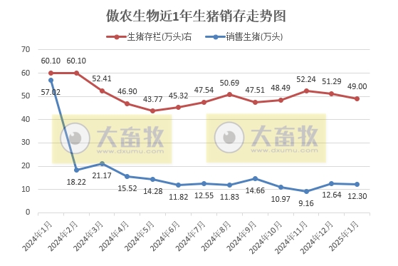 神农、立华和傲农2025年1月生猪生产销售情况