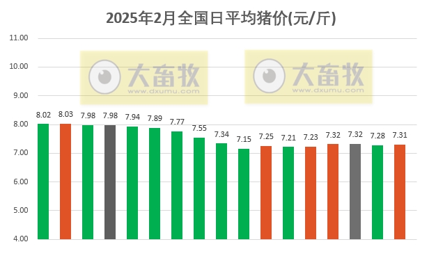 今日猪价 | 2025.02.17猪价行情——多数出现上涨