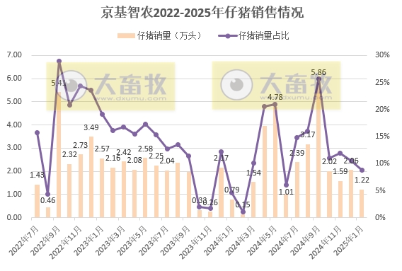 京基、金新农和东瑞2025年1月生猪销售情况