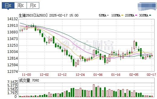 今日猪价 | 2025.02.18猪价行情——绝大多数出现上涨