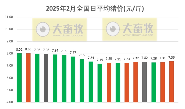 今日猪价 | 2025.02.18猪价行情——绝大多数出现上涨