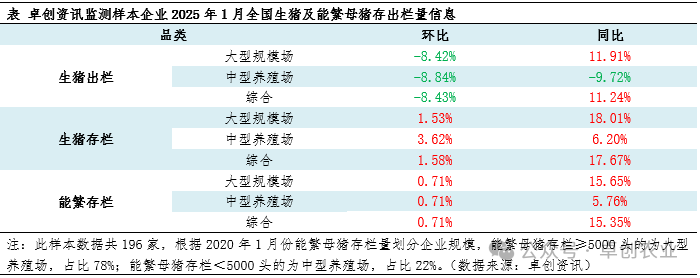 2025年1月规模养猪场的生猪和能繁母猪存栏量同环比均增长,预计2月或延续增加