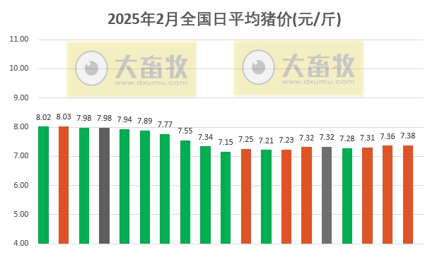 今日猪价 | 2025.02.19猪价行情