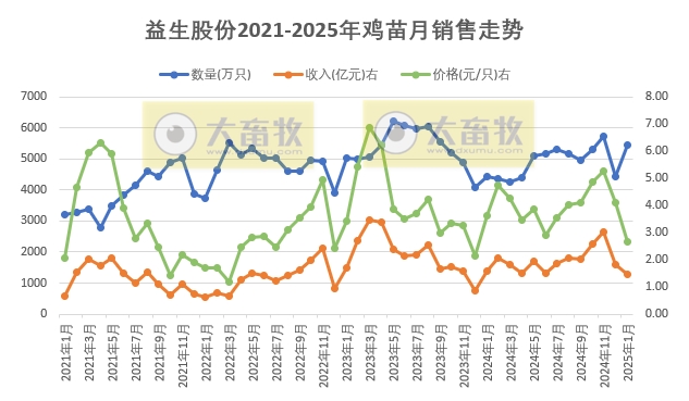 益生、民和和晓鸣2025年1月鸡苗销售情况