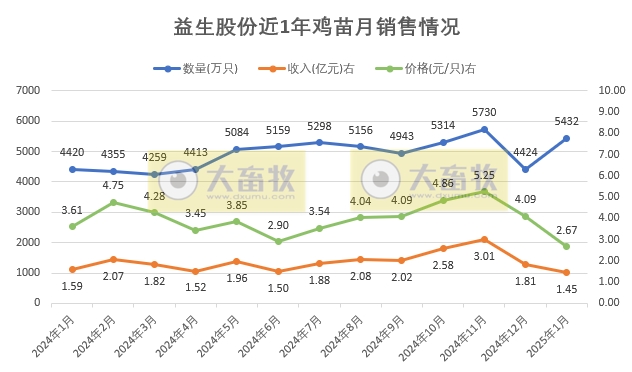 益生、民和和晓鸣2025年1月鸡苗销售情况
