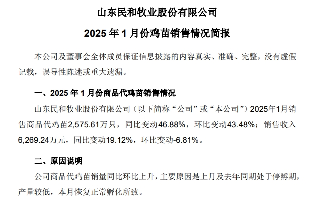 益生、民和和晓鸣2025年1月鸡苗销售情况