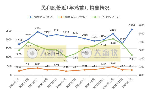 益生、民和和晓鸣2025年1月鸡苗销售情况