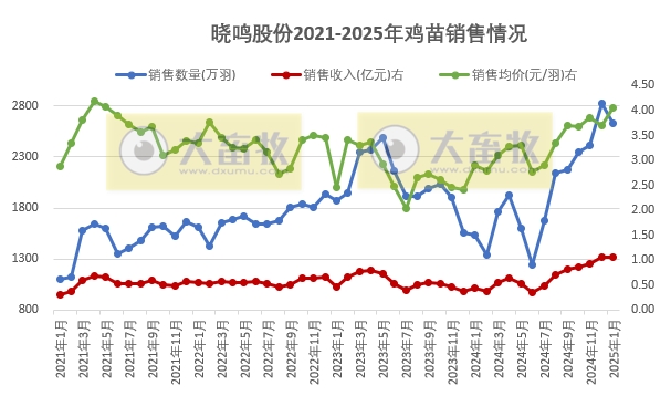 益生、民和和晓鸣2025年1月鸡苗销售情况