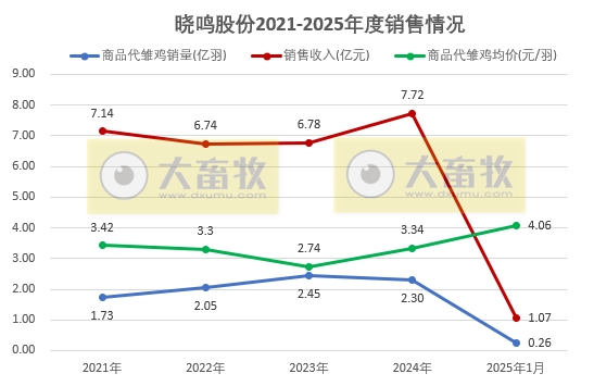 益生、民和和晓鸣2025年1月鸡苗销售情况