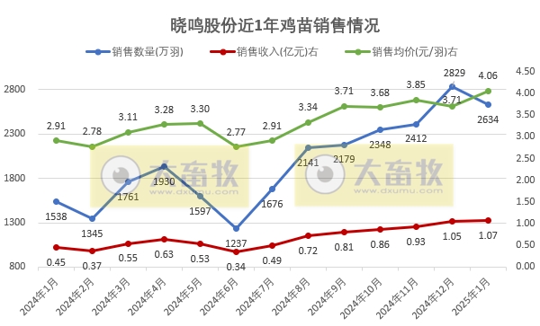 益生、民和和晓鸣2025年1月鸡苗销售情况