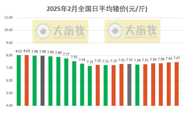 今日猪价 | 2025.02.21猪价行情——连续5天上涨,涨幅收窄