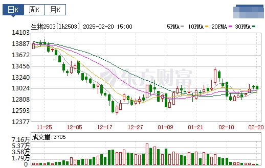 今日猪价 | 2025.02.21猪价行情——连续5天上涨,涨幅收窄